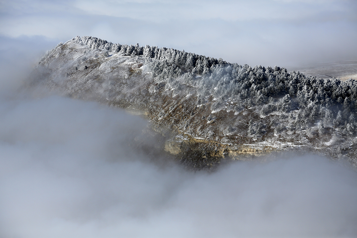 Misty Ridge Black Forest Colorado ImageWerx Denver Colorado Aerial