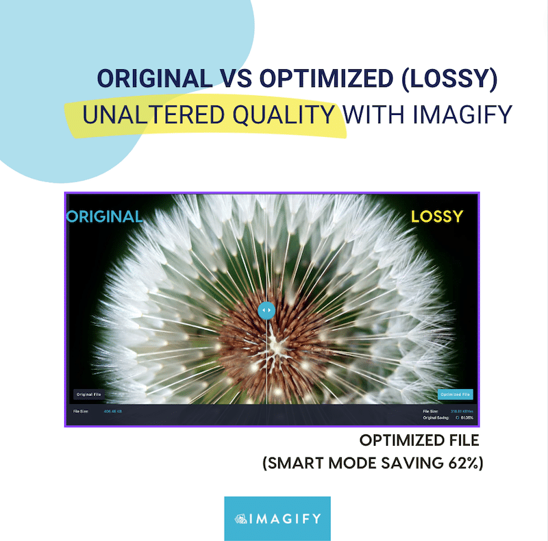 Lossy vs Lossless Image Compression What’s the Difference?