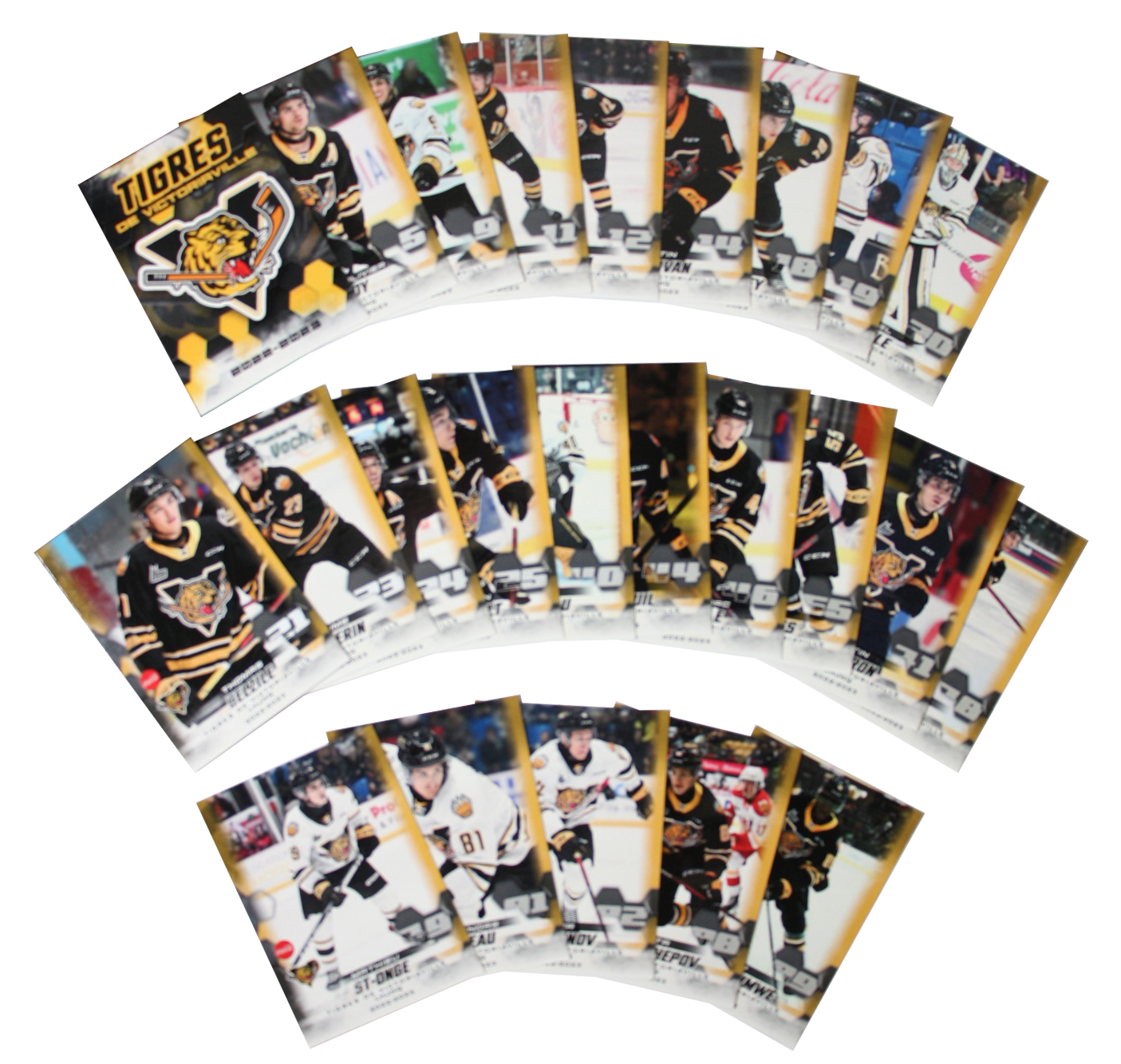 TIGRES DE VICTORIAVILLE (24 CARTES) 202223