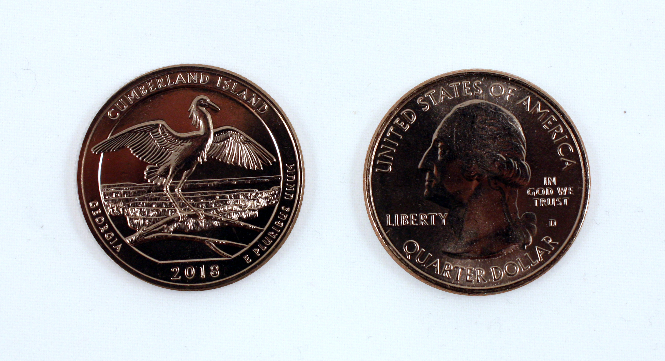 AMERICA THE BEAUTIFUL CUMBERLAND ISLAND NATIONAL SEASHORE