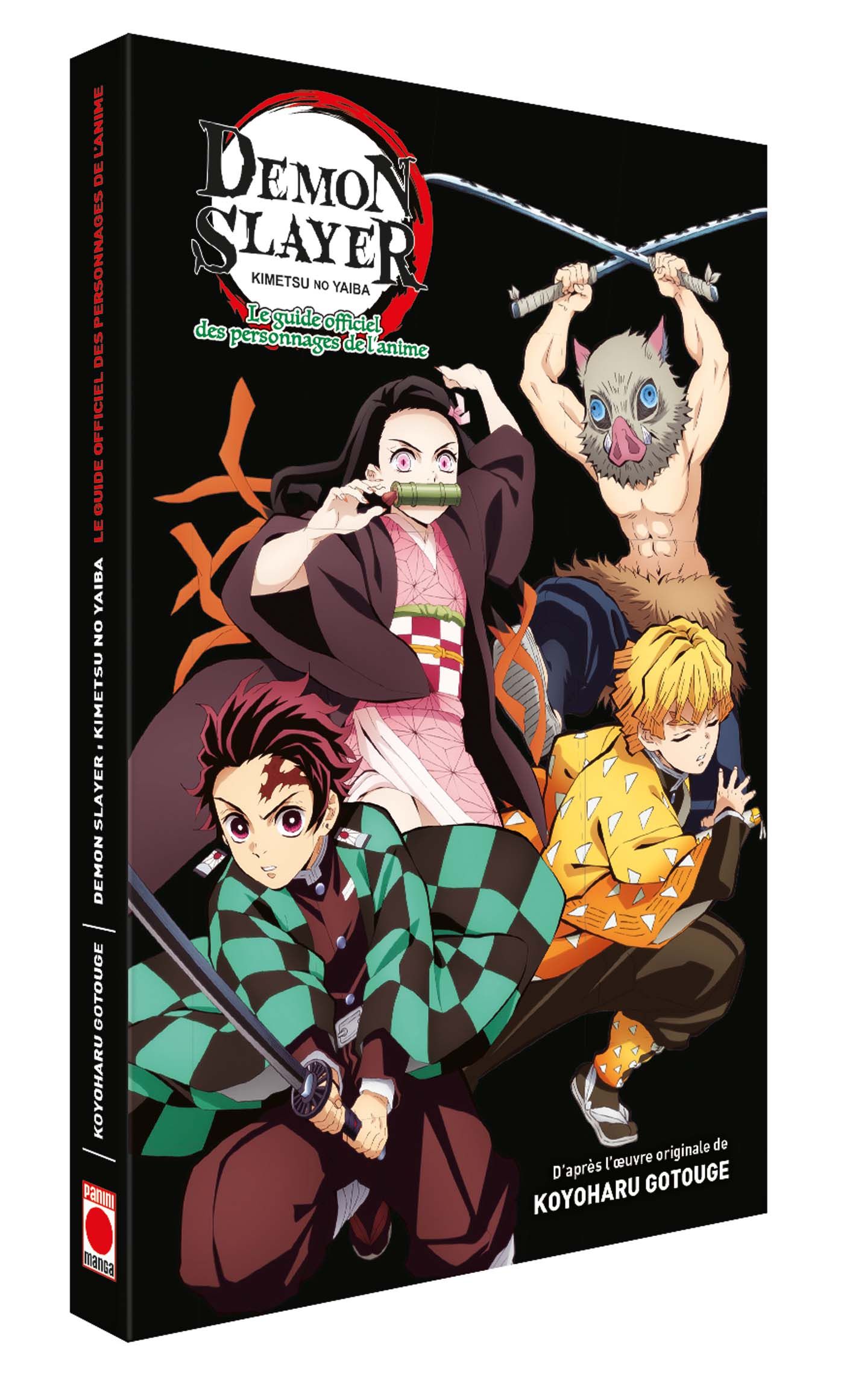 DEMON SLAYER, KIMETSU NO YAIBA ARTBOOK 13 (V.F.)