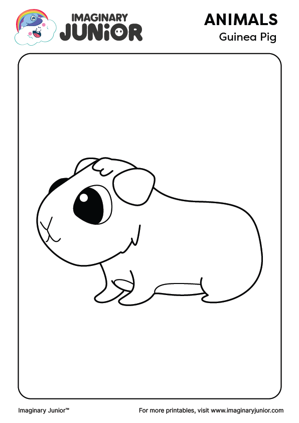 Guinea Pig Printables & Coloring Pages (2024 Edition) Imaginary Junior