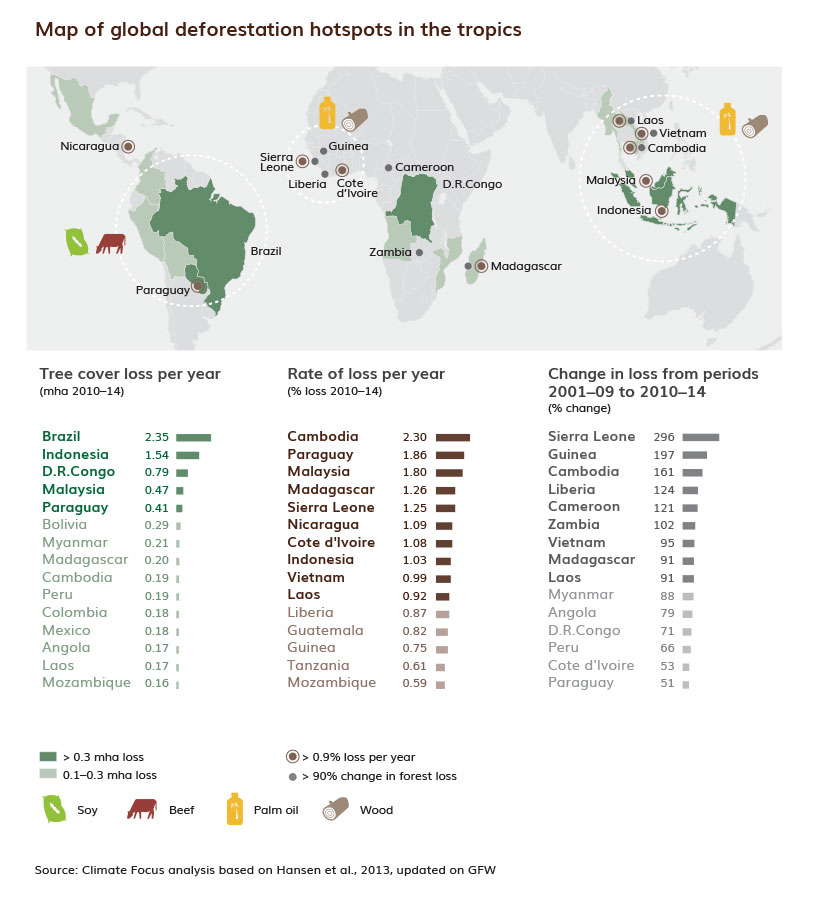 New York Declaration on Forests Design by Imaginary Office