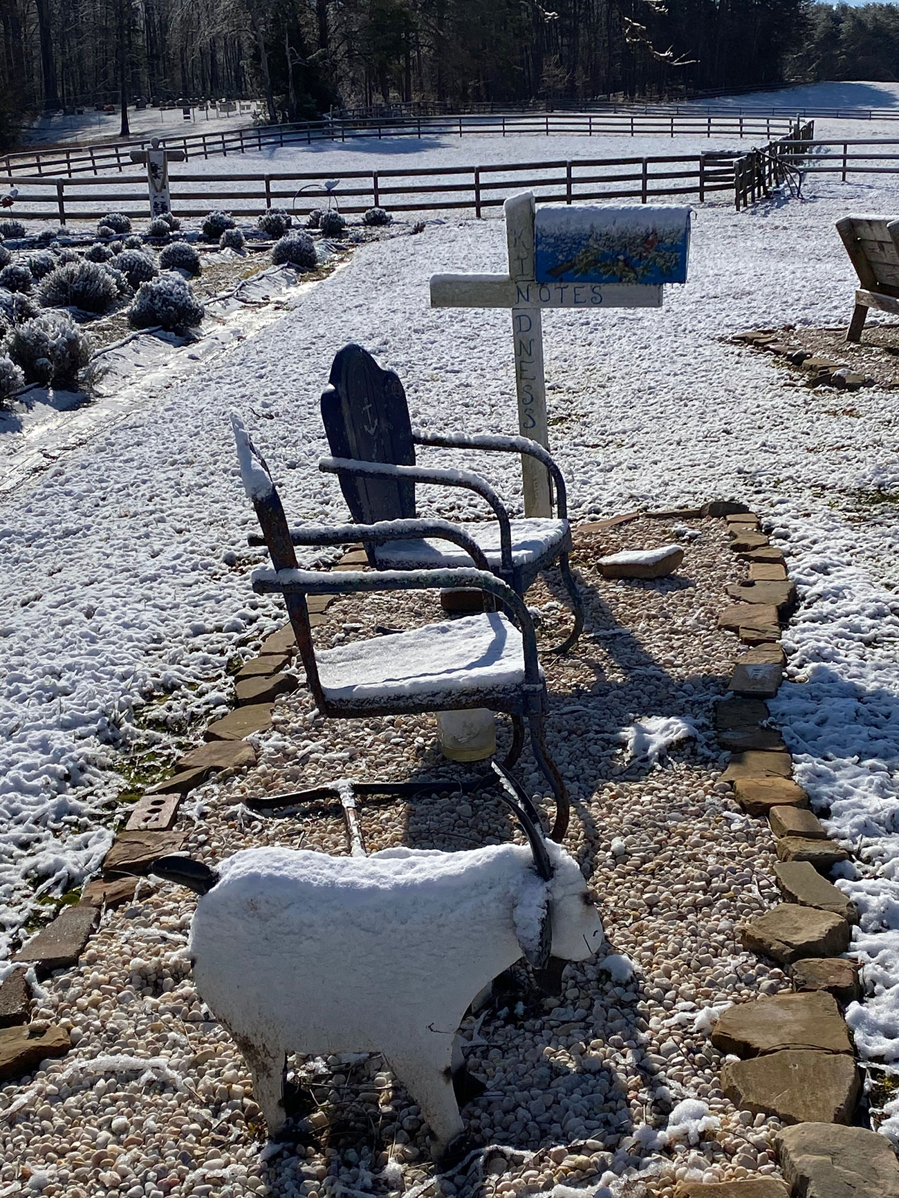 Imagination Lavender Farm Martinsville, VA