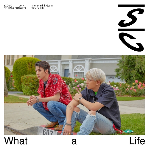 [Lirik Lagu + Terjemahan] EXO SC (세훈&찬열) ― Roller coaster (롤러코스터) red