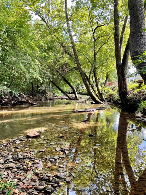 River’s Edge RV Park Imagine Camper