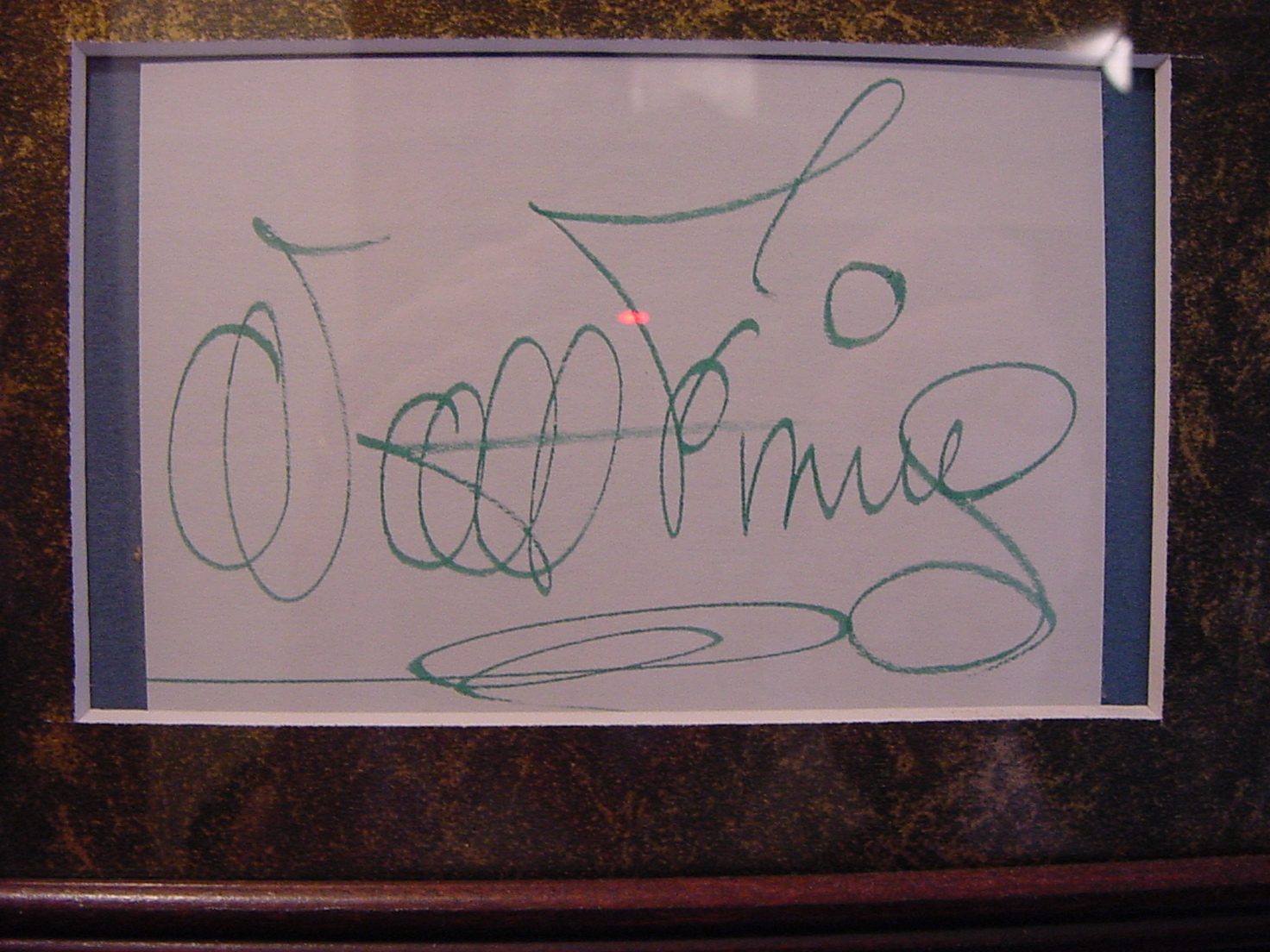 Walt Disney Signatures