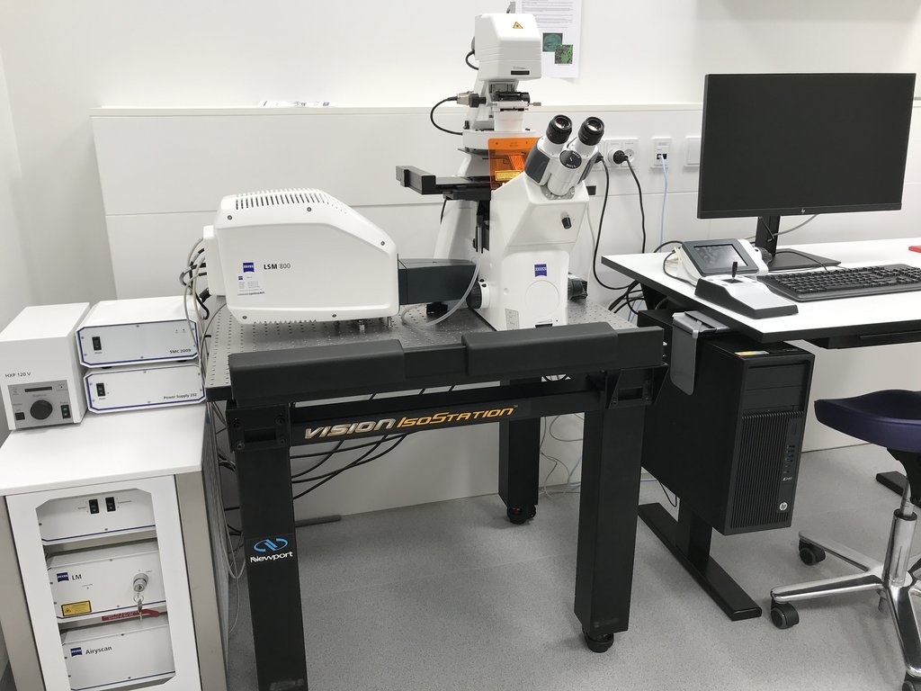 LSM 800 Airyscan, Laser Scanning Confocal With Superresolution, Zeiss
