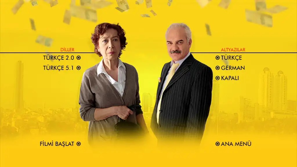 Kadin Isi Banka Soygunu (2014) DVD9 Untouched