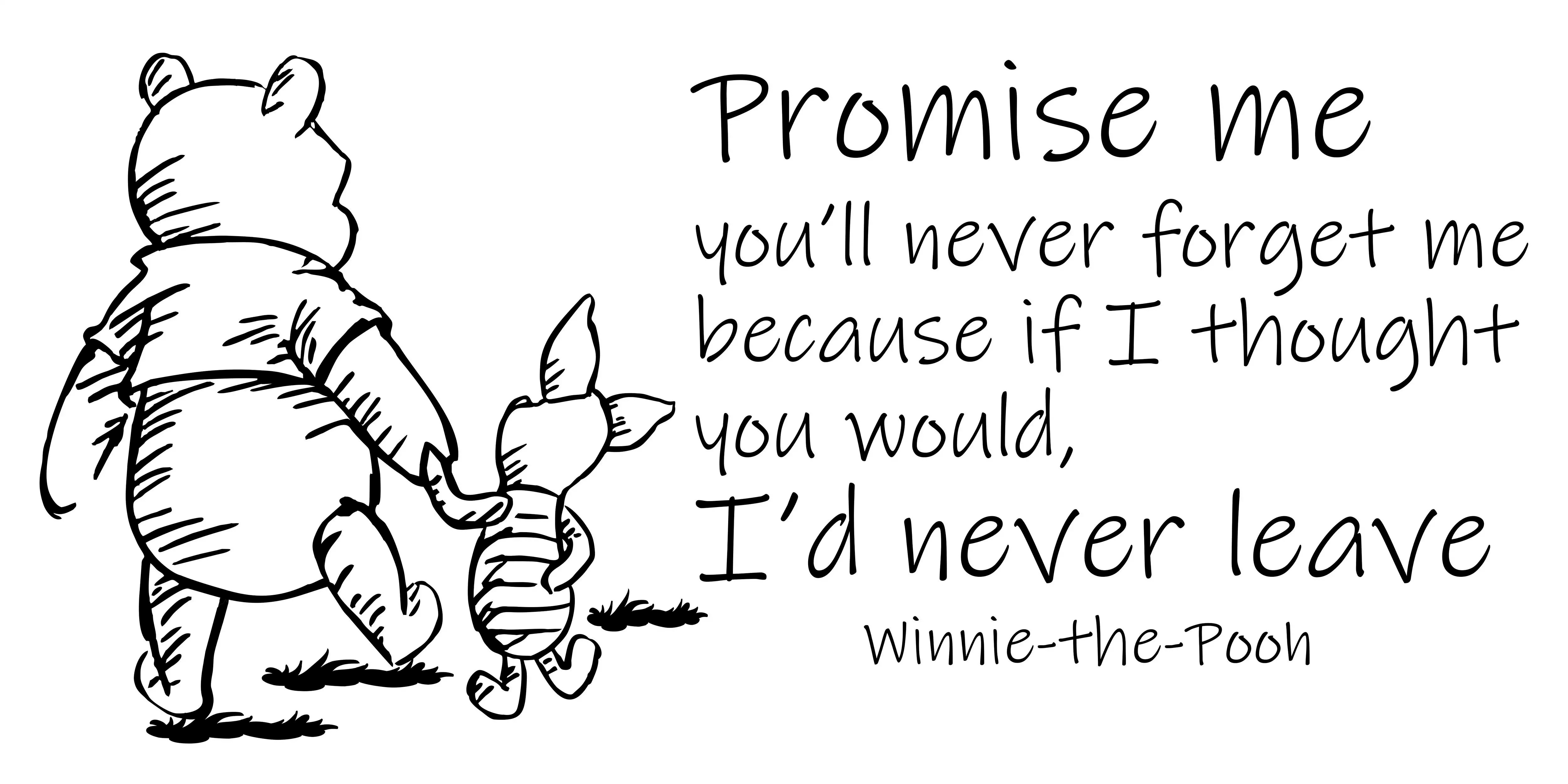 Promise Me You'll Never Me Winnie The Pooh Vinyl Home Wall