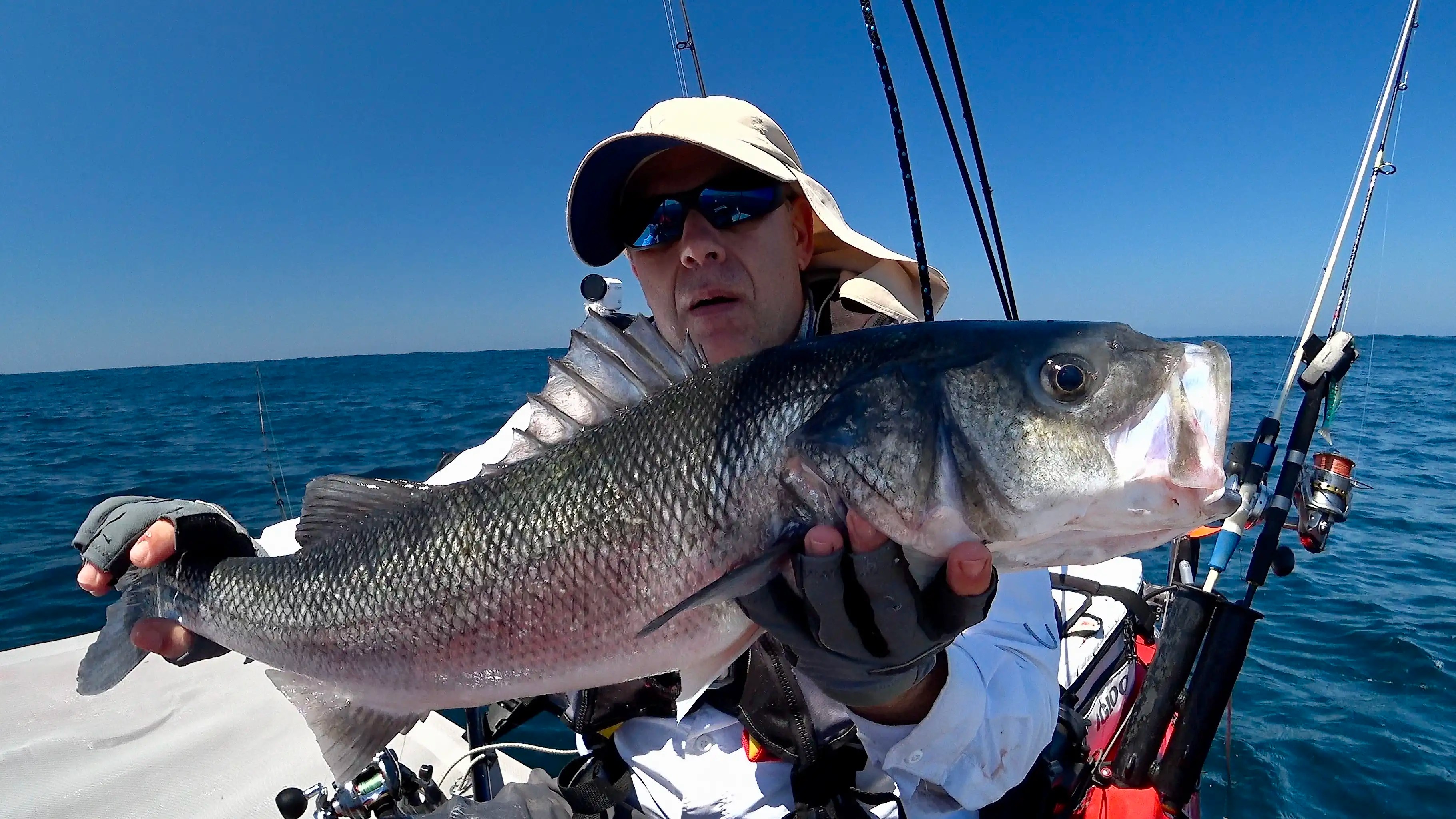 An Epic Day of Fishing for European Sea Bass Bloodydecks