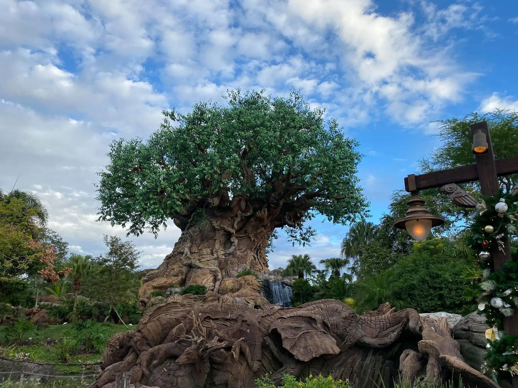 Animal Kingdom One Day Itinerary