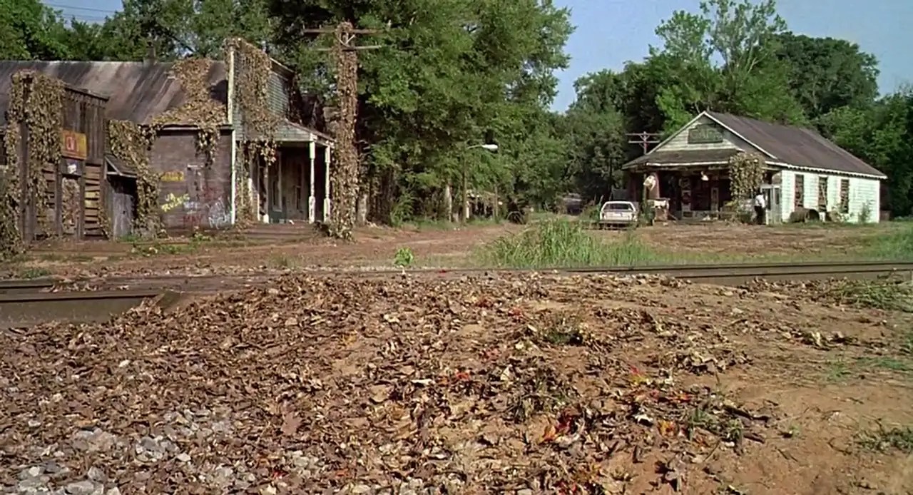 BRRIP Fried Green Tomatoes (1991) 1991 Movies