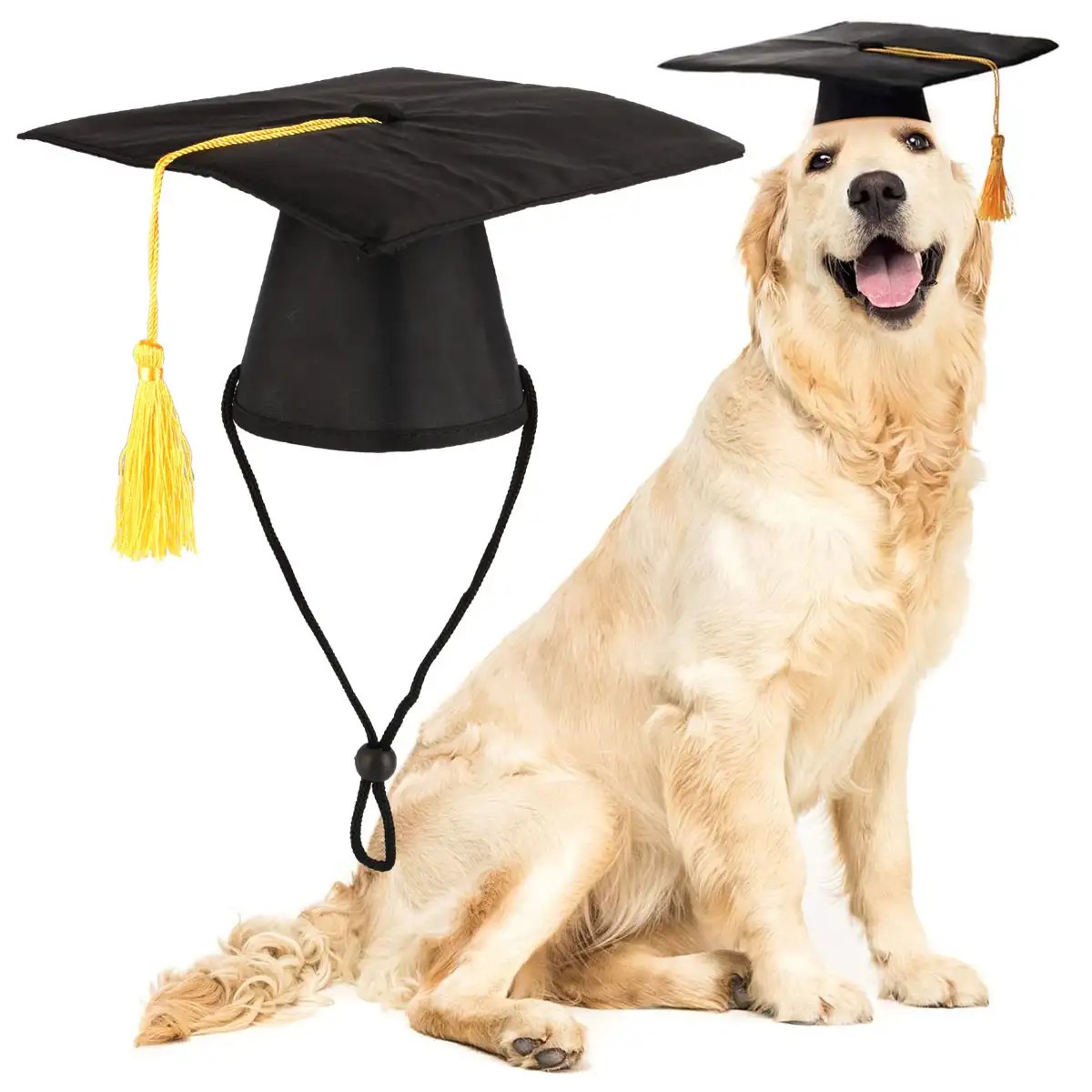 Pet Graduation Caps Small Dog Graduation Hats with Yellow