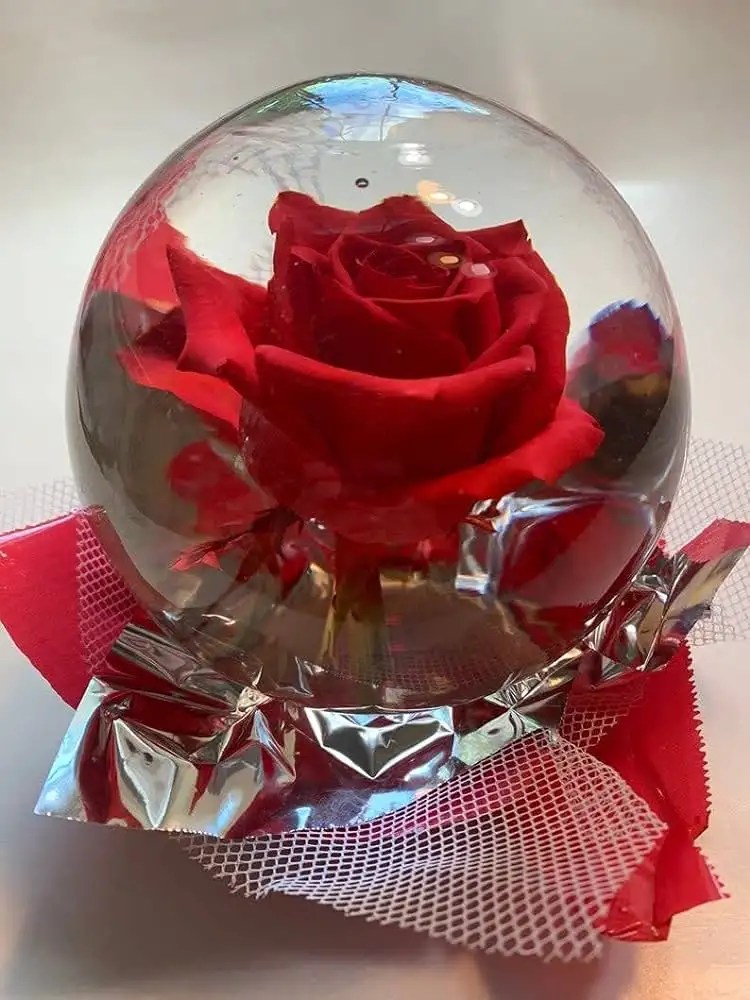 Water Globe Rose Glass Bubble