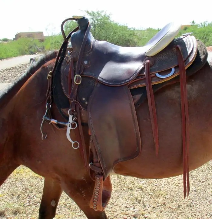 Narrow seat/twist western saddles The Horse Forum