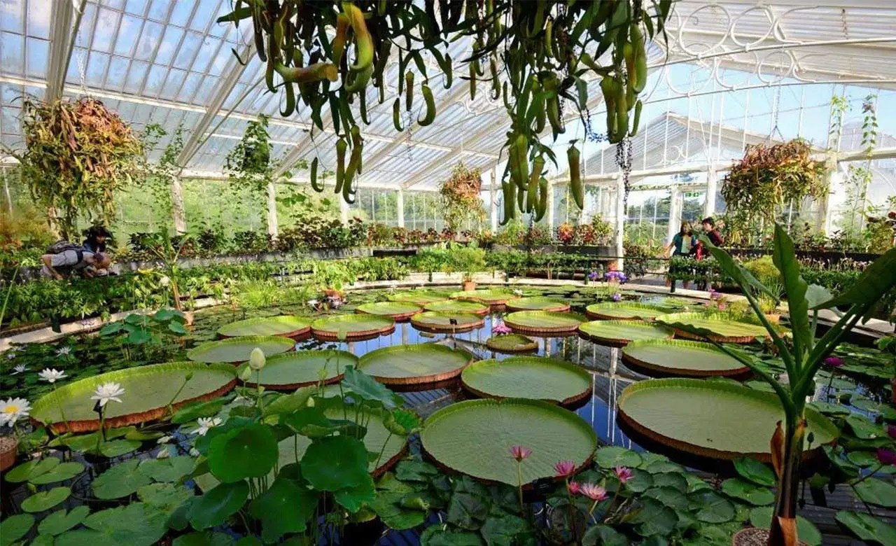 What Is An Indoor Garden Called