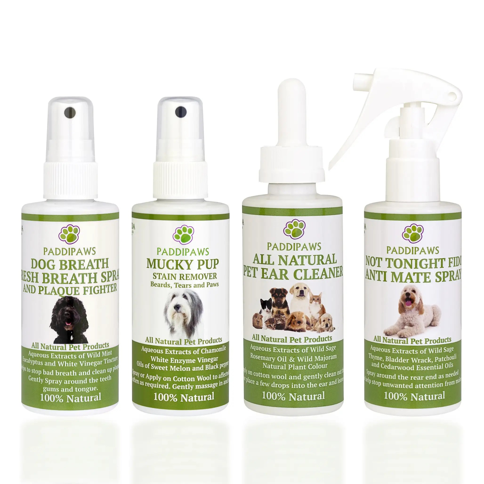 100 NATURAL PAW SAFE Antibacterial & Antifungal Dog Spray to Protect