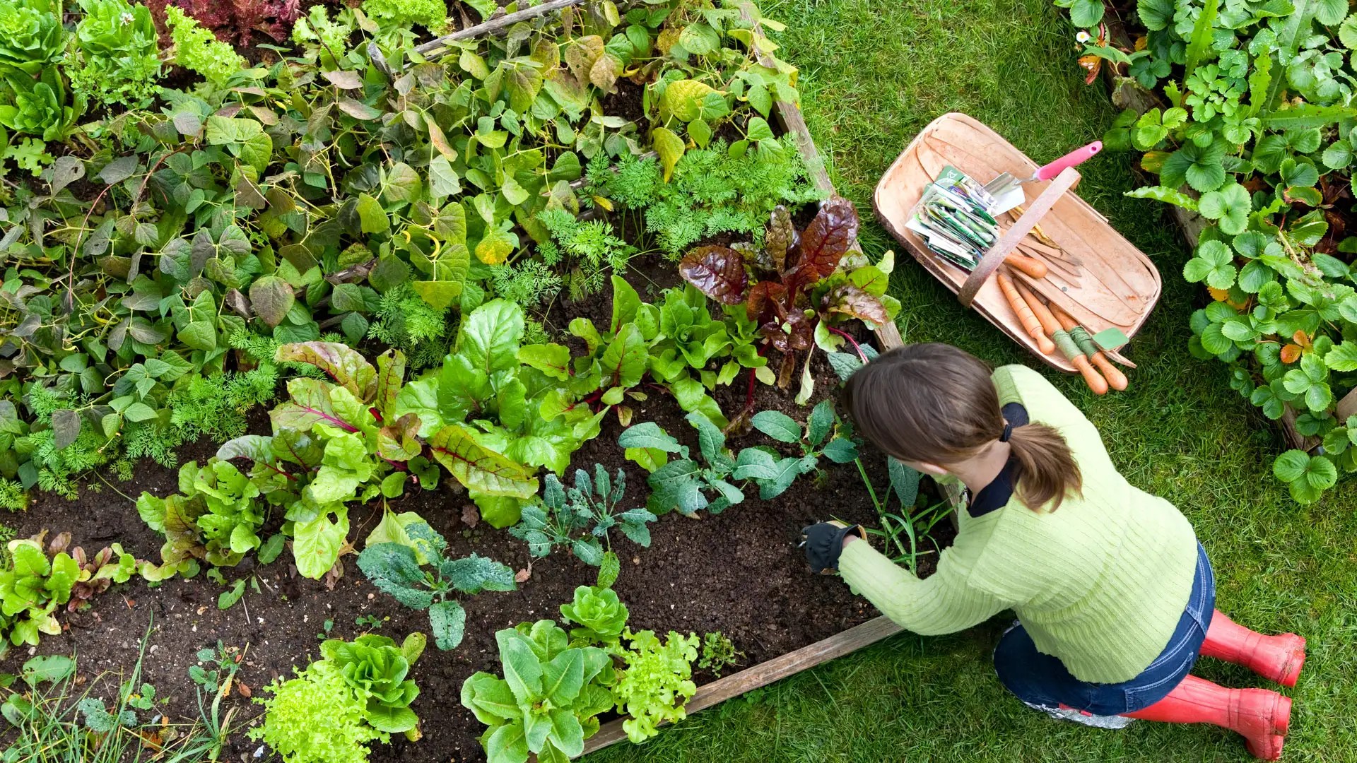 How To Prepare A Garden Bed For Planting