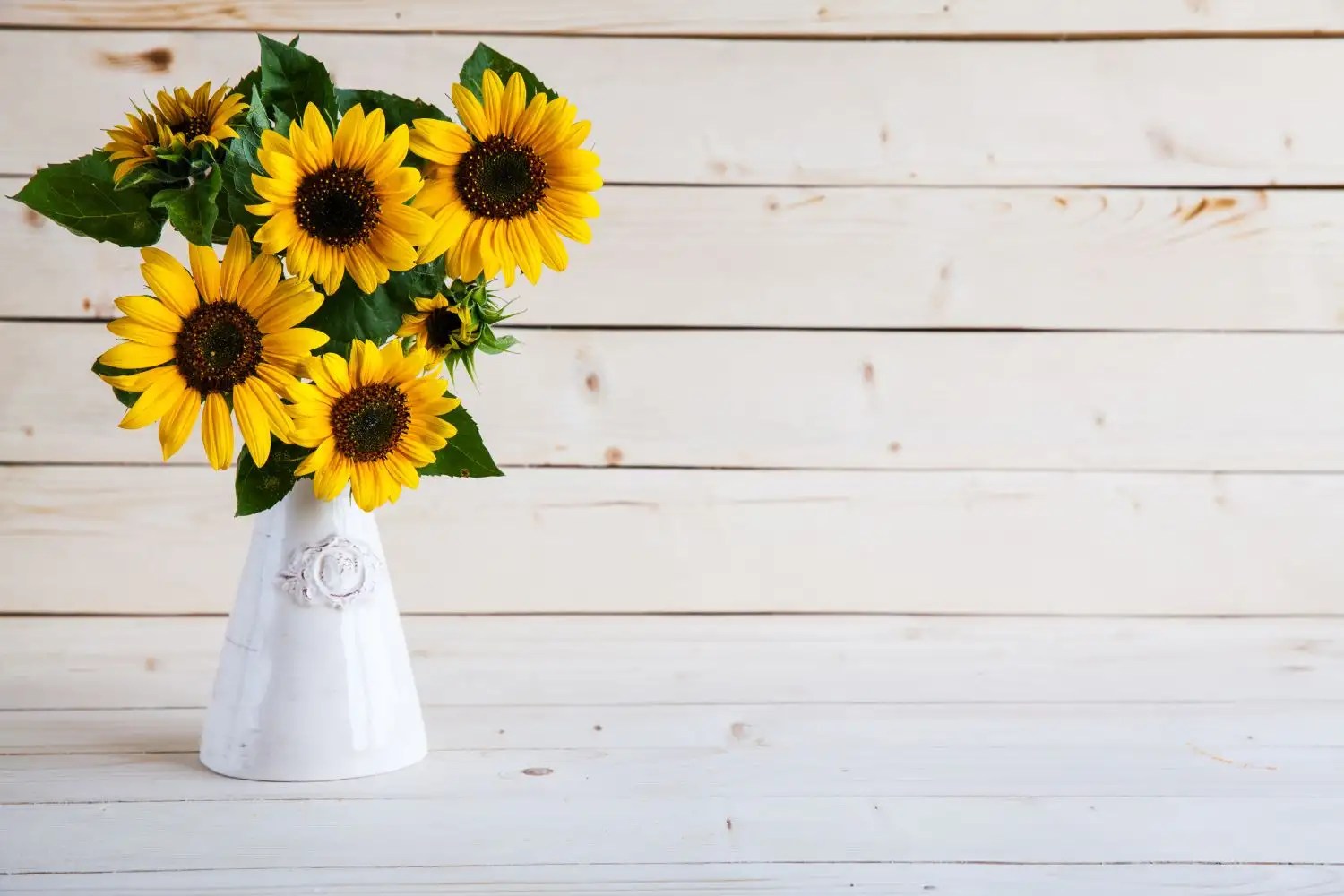How To Cut Sunflowers For Vase