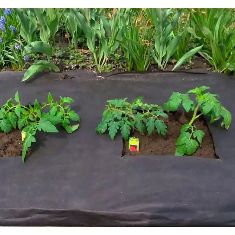 Black Sheeting For Gardens