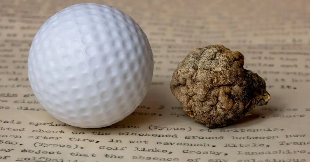 Golf Ball Rubber Bands