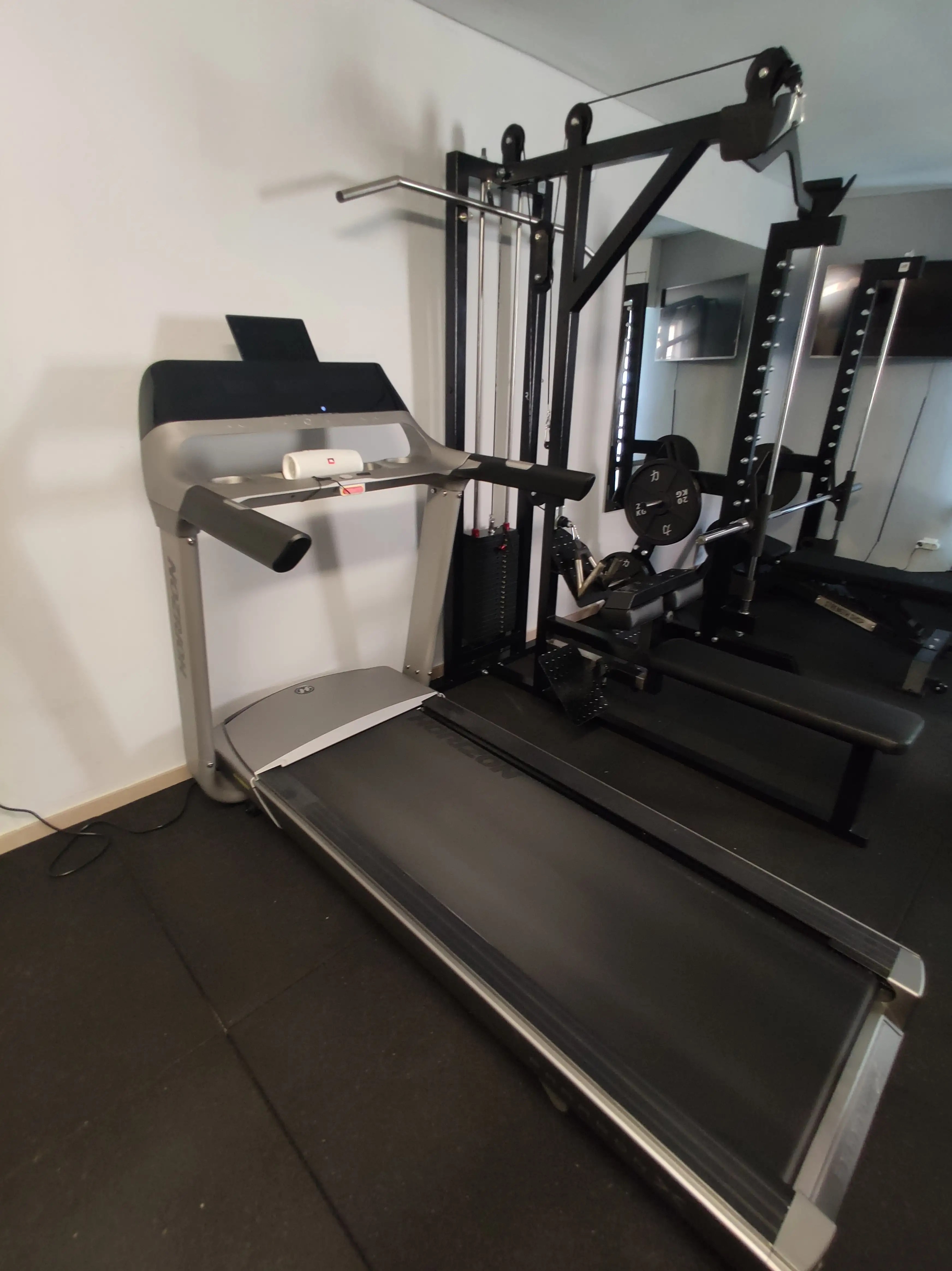 Homegym Bilderthread Allgemeine Trainingsfragen Seite 447