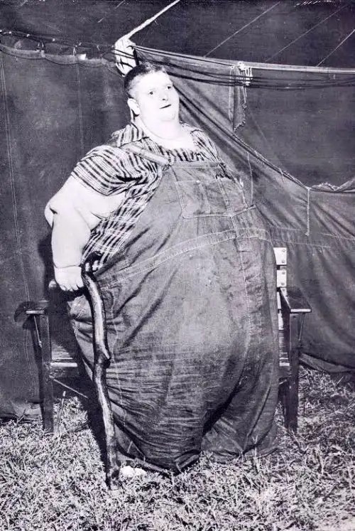 • View topic Interesting Facts