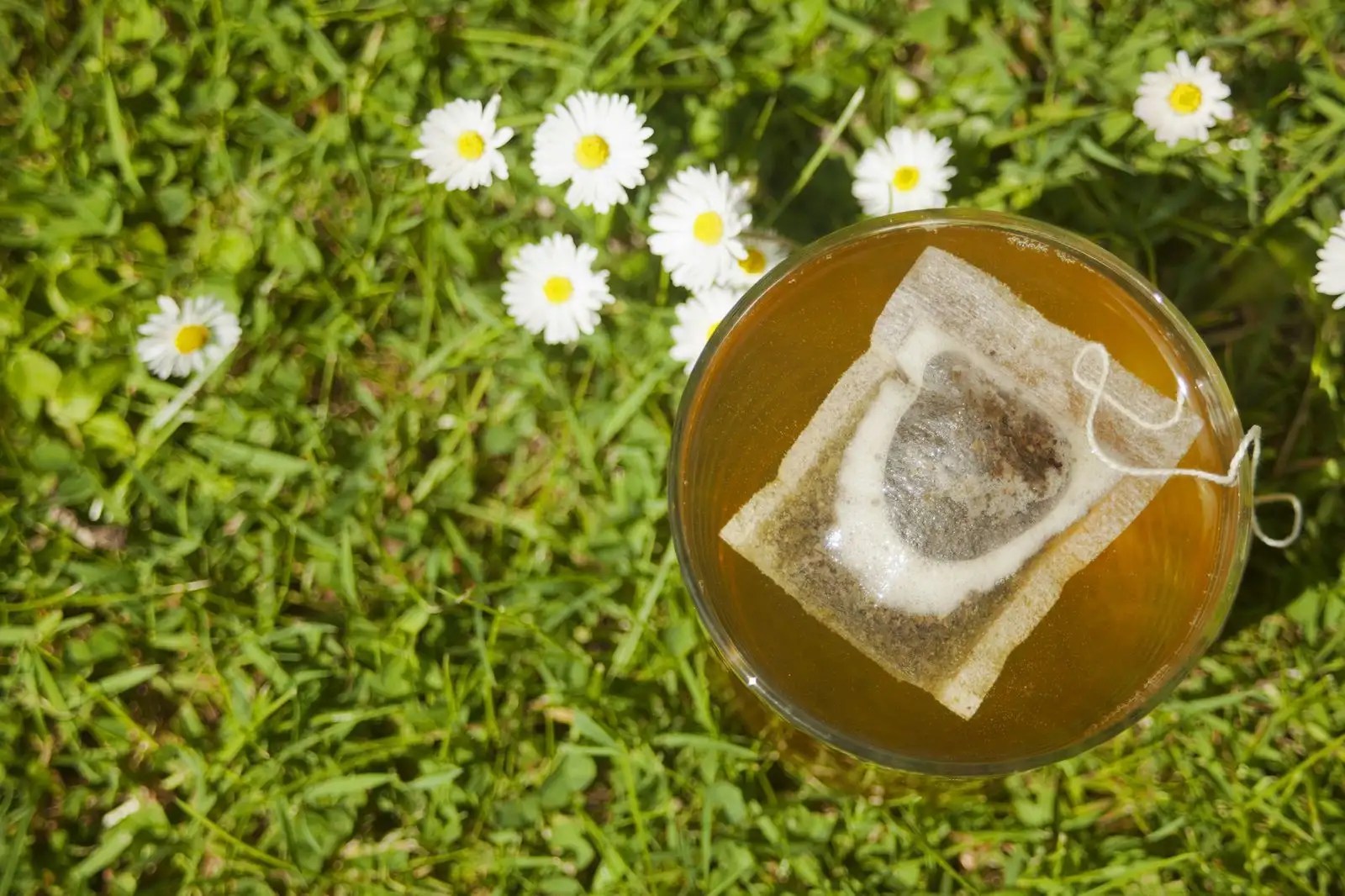 Are Tea Bags Good For The Garden