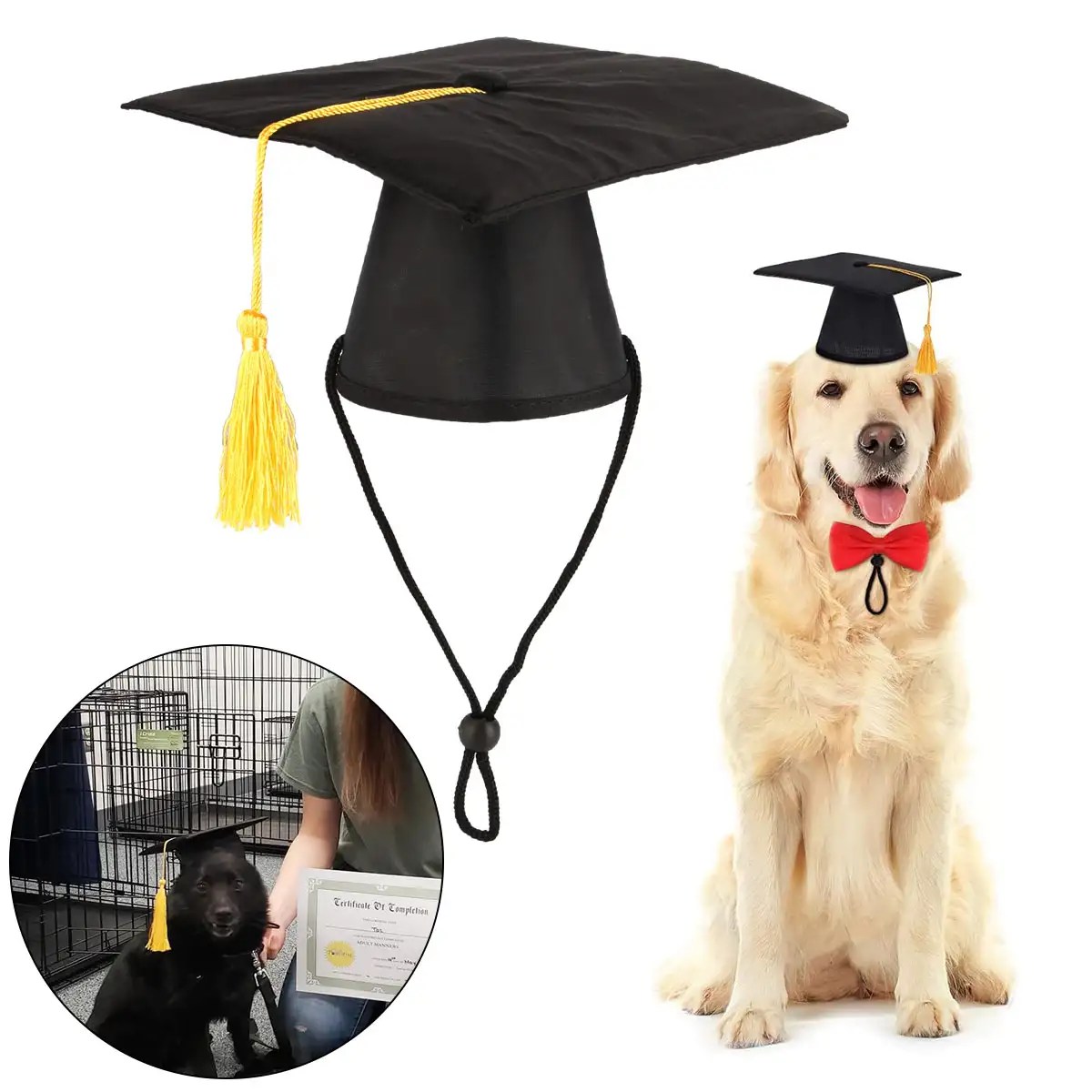 Pet Graduation Caps Small Dog Graduation Hats with Yellow