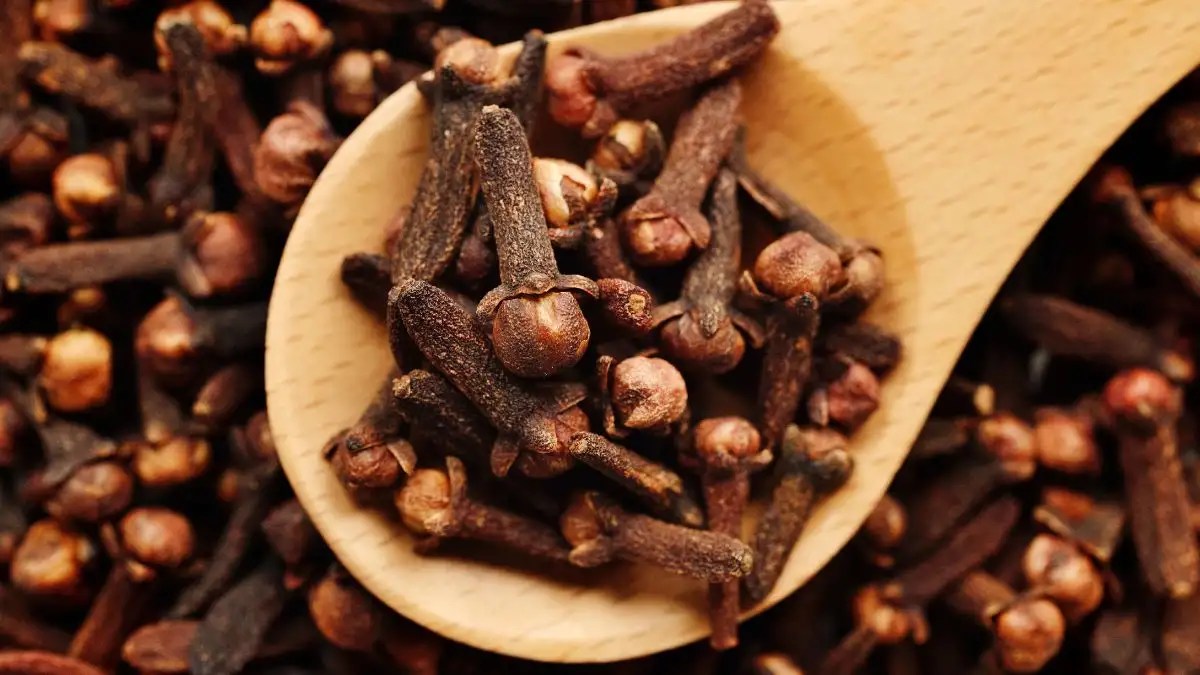 Clove Gum Benefits