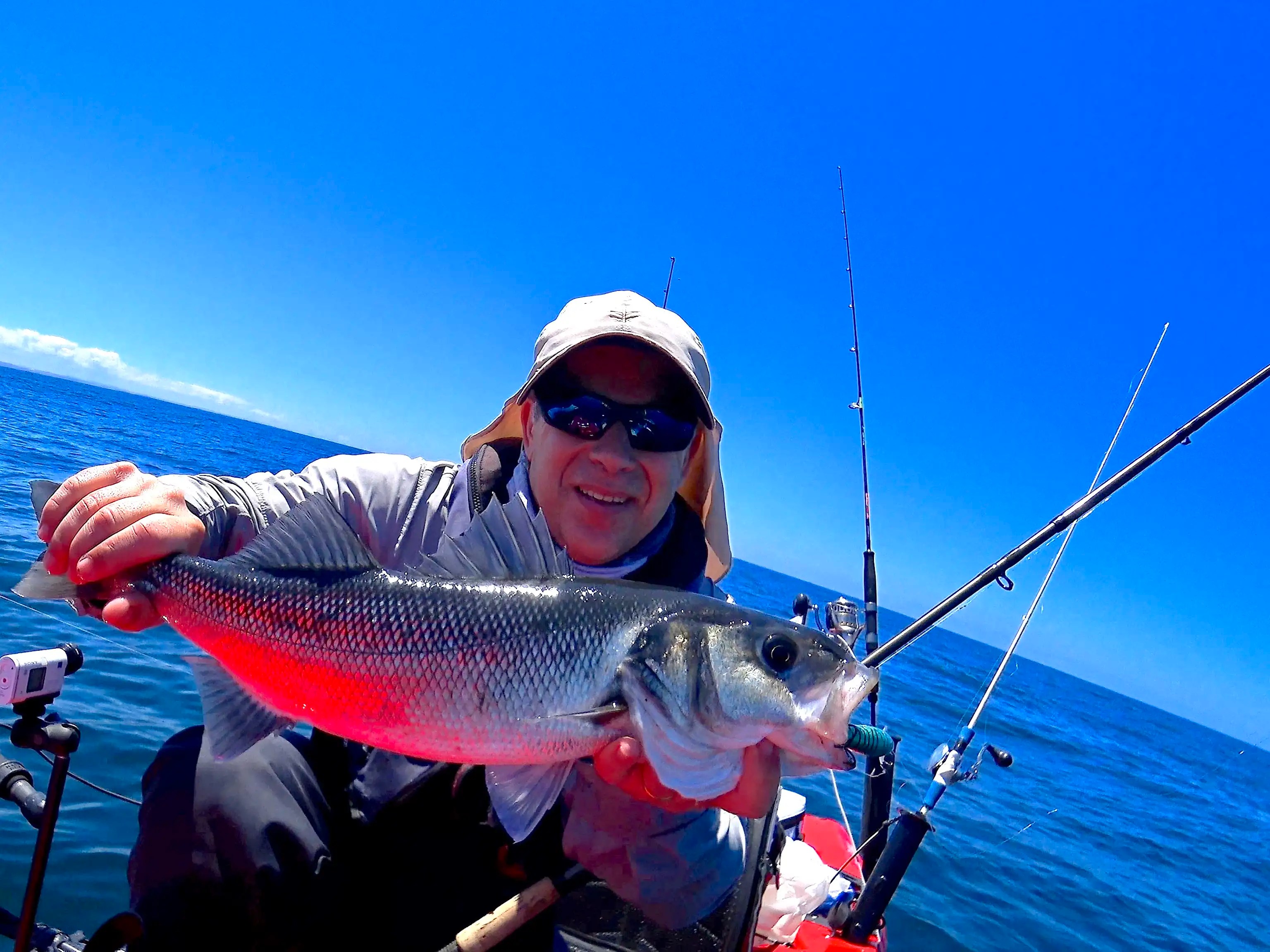 Epic Fishing Competition Sea Bass and Little Tunny 1st for 3