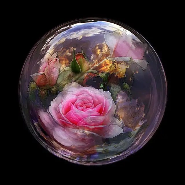 Water Globe Rose Glass Bubble