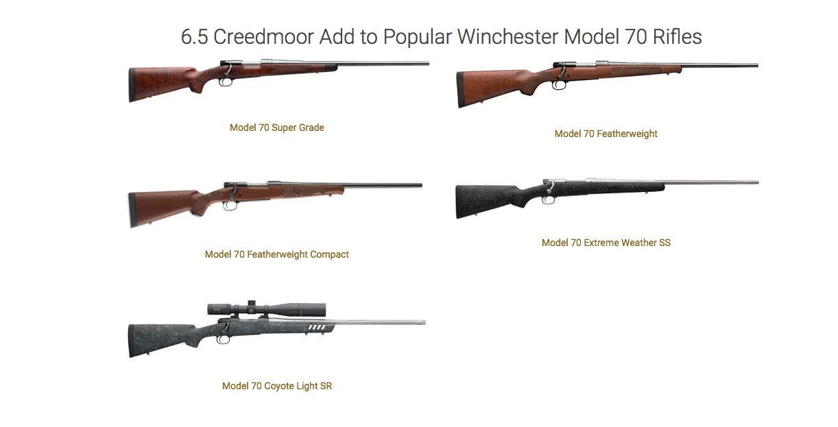 Winchester model 70 featherweight or Remington 700 sps Stainless in .243 24hourcampfire