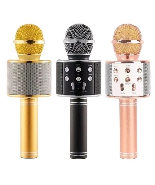 Microfono Altoparlante Bluetooth Wireless Karaoke con cassa integrata