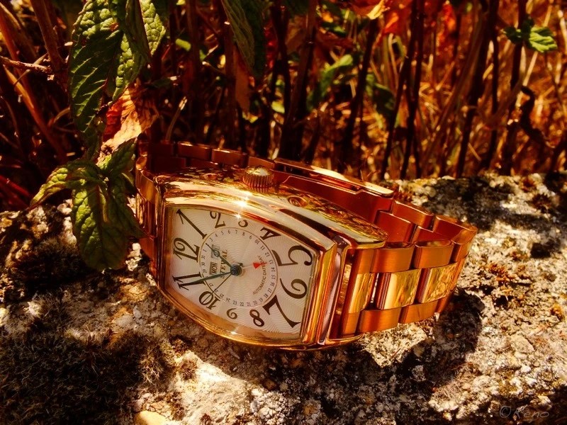 Are gold watches really out of fashion ? WatchUSeek Watch Forums