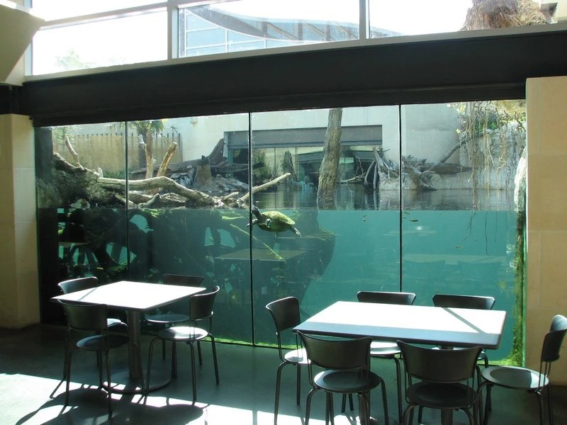 Aquariums and Zoos A Photo Thread SkyscraperPage Forum