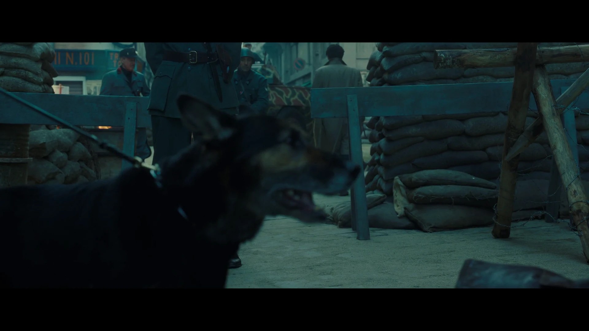 Download Rapiniamo.Il.Duce.2022.iTA.REPACK.WEBDL.1080p.x264CYBER.mkv