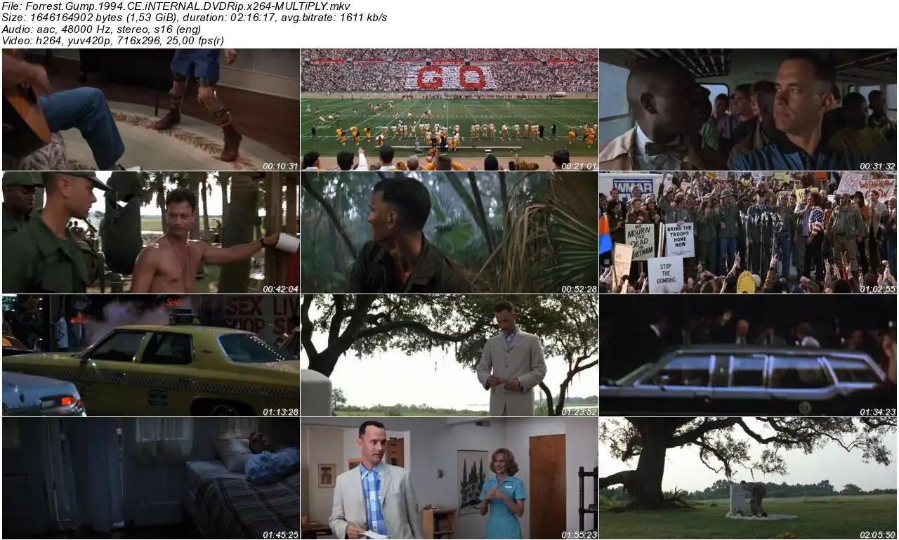 Forrest Gump 1994 DVDRip x264 Türkçe Altyazılı Tek Link indir
