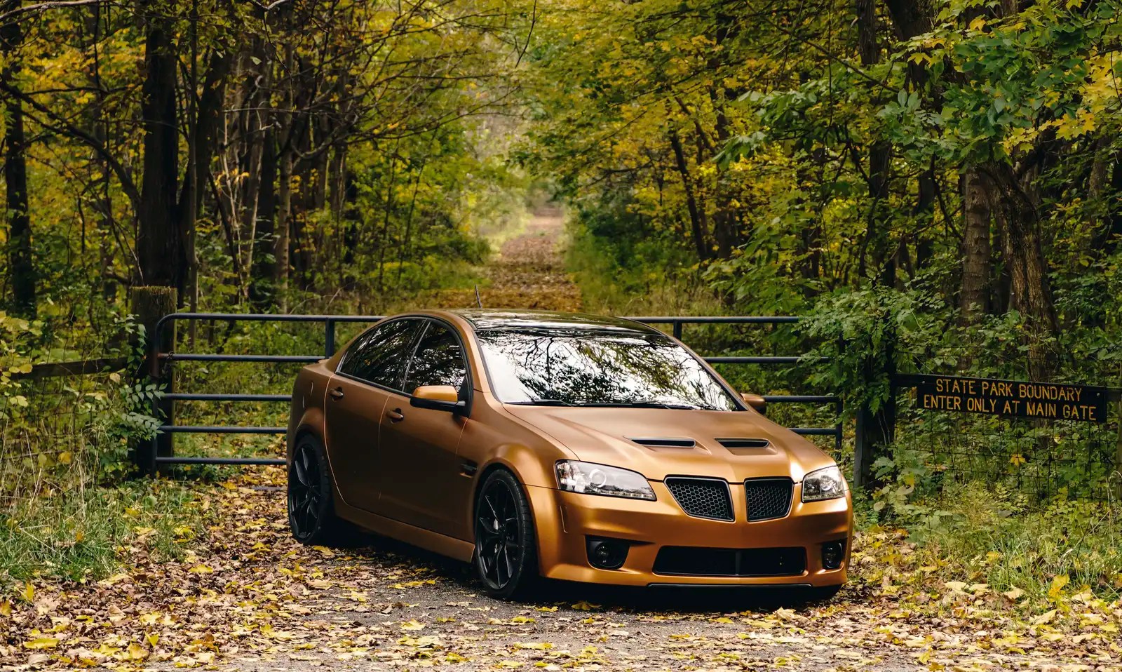 Two tone dip.. Pontiac G8 Forum G8 Forums