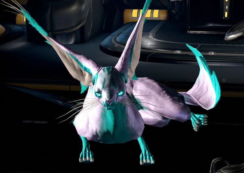 Kavat pride! show off your prettiest cats! Fan Zone Warframe Forums