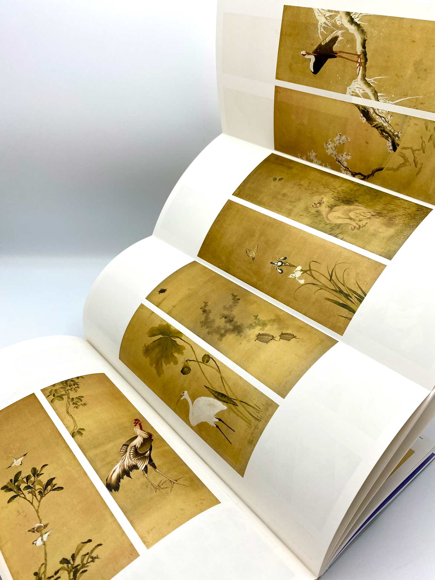 Special Edition Books & Limited Edition Printing Imago