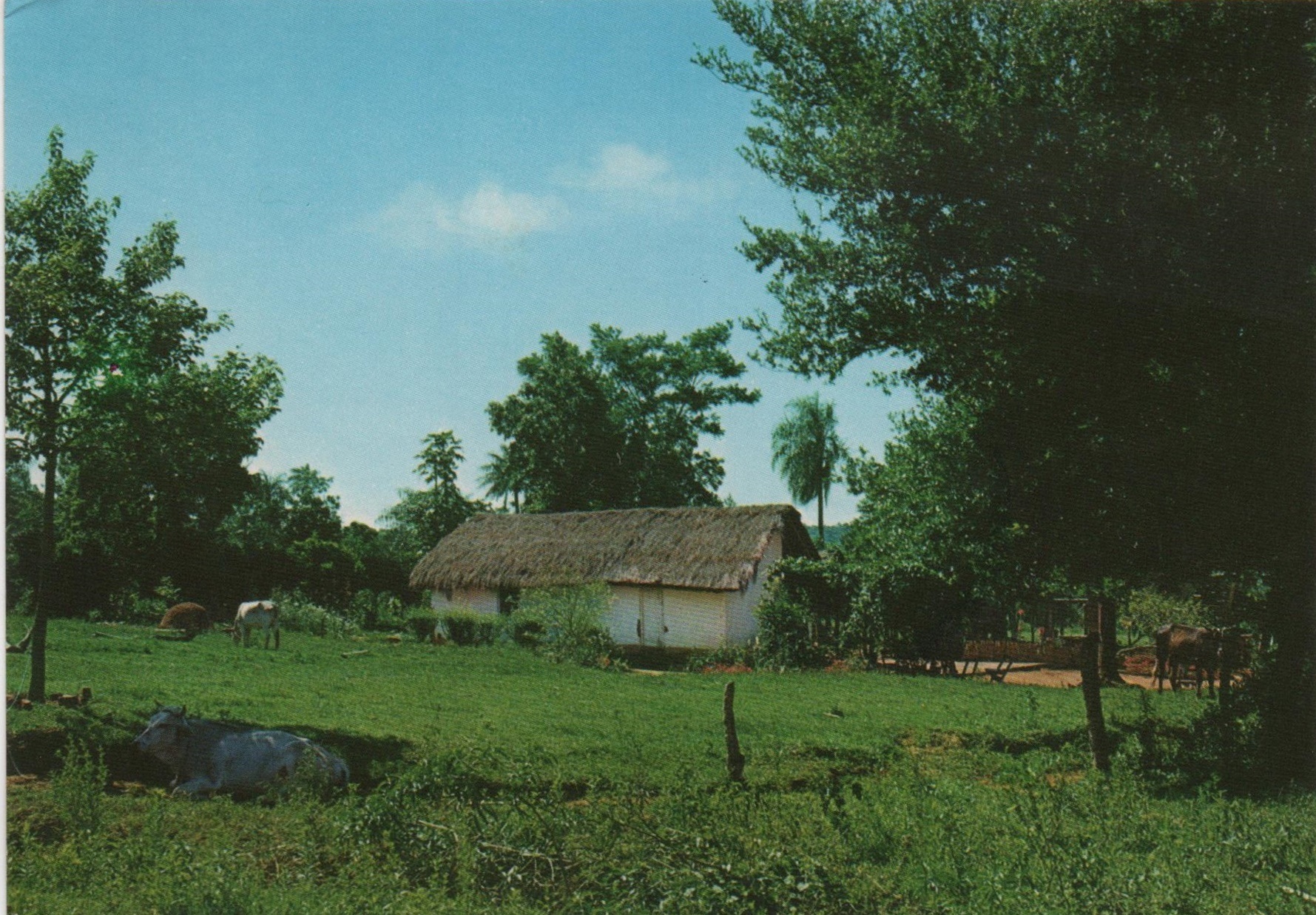 Rancho campesino Imagoteca