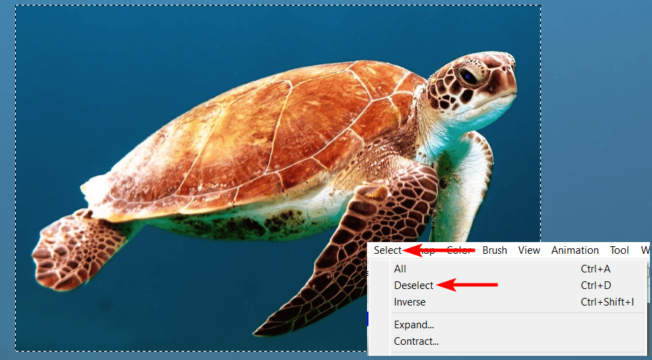 How to quickly Deselect in FireAlpaca
