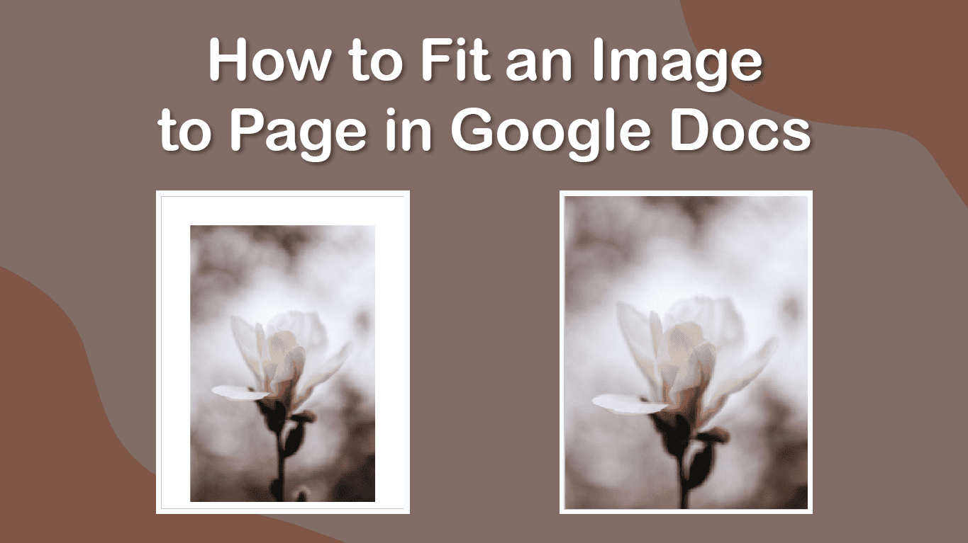 How to Fit an Image to Page in Google Docs imagy