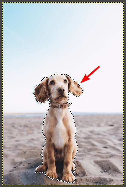 How to Remove the Background From an Image in GIMP