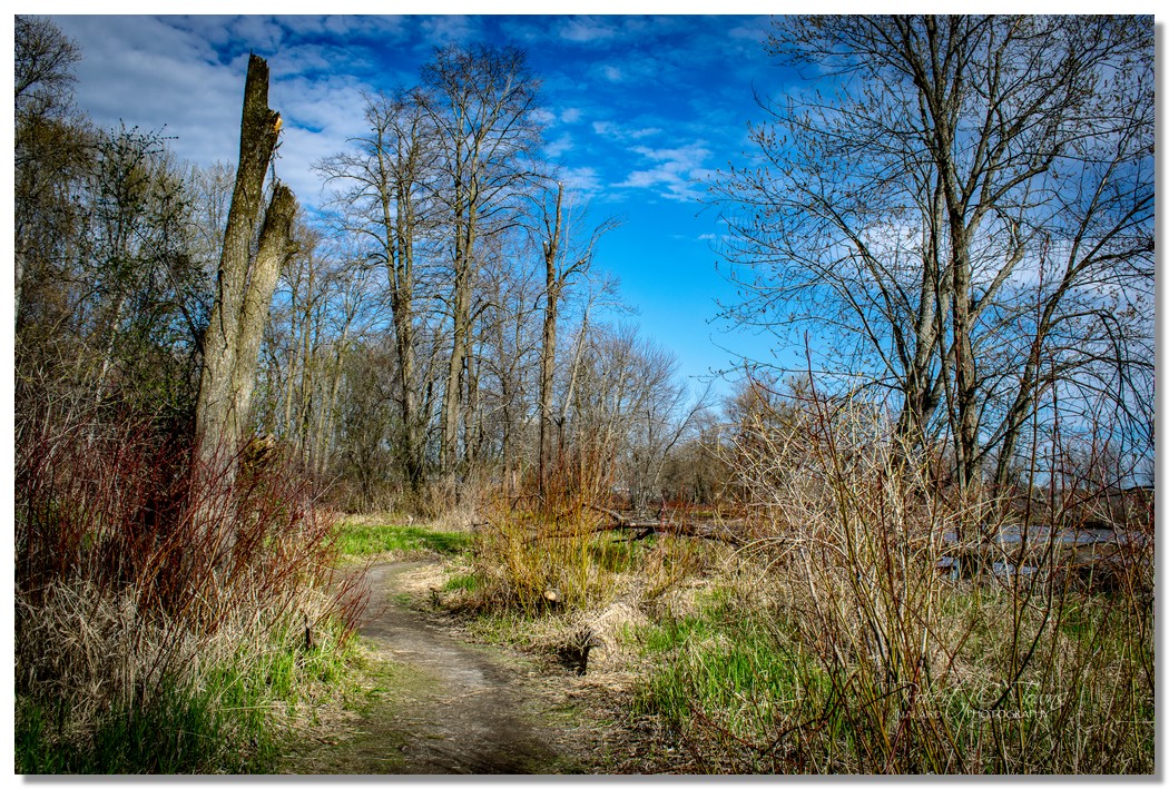 Nature Walks in Orleans I’m a Laird