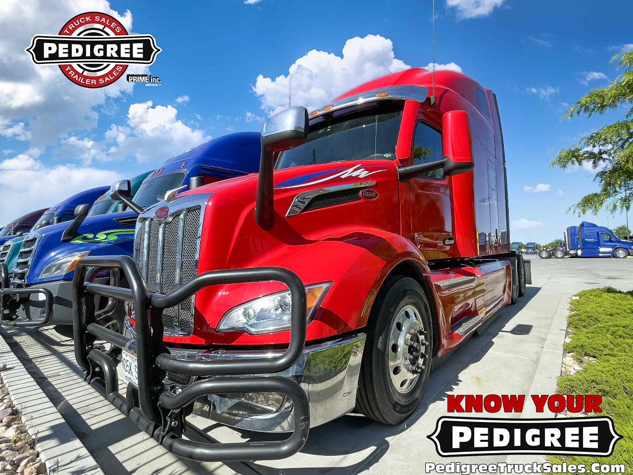 Used SemiTrucks for Sale Quality Used Big Rigs at Pedigree
