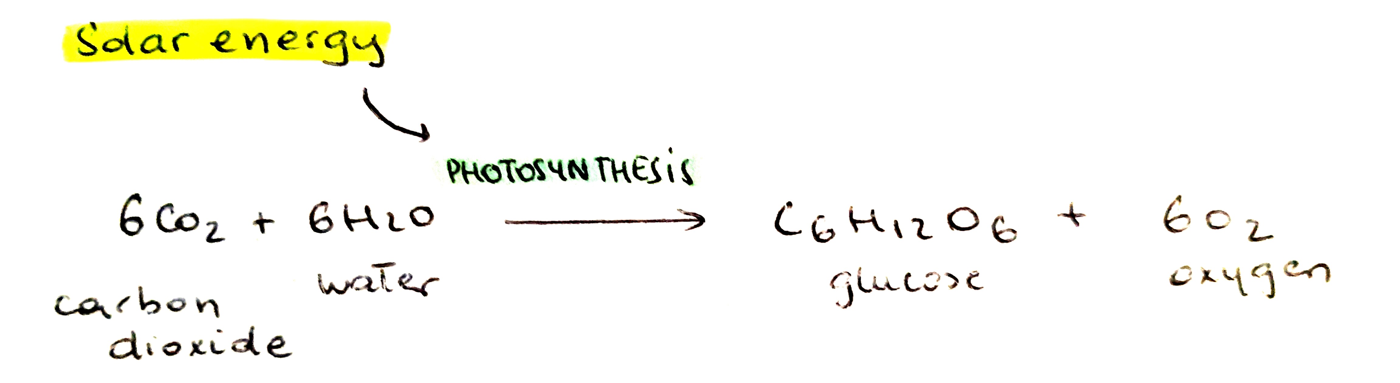 IMAT 2016 Q38 [Light­Dependent Reactions in Photosynthesis] Past