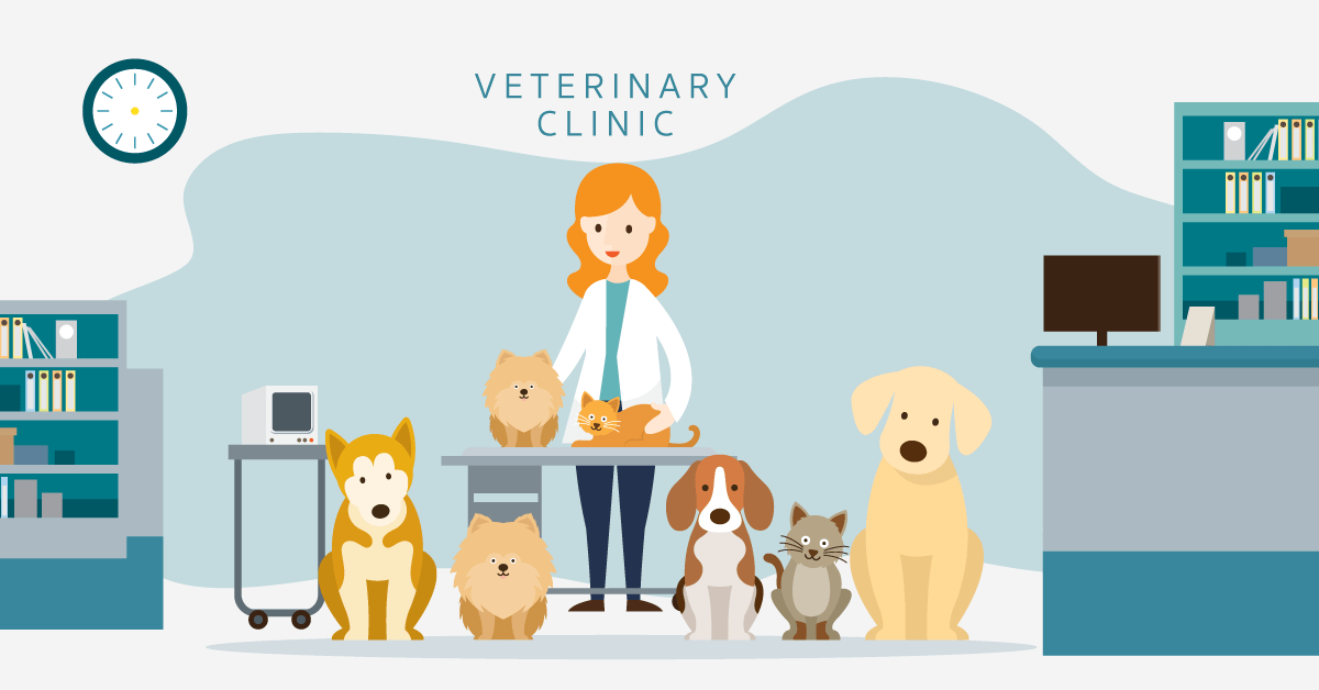 Veterinary Video Marketing Ideas You Should Try